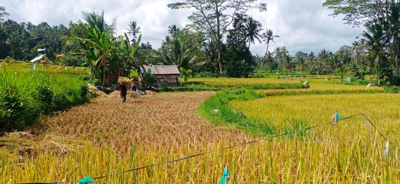 Rindu Homestay Undisan エクステリア 写真